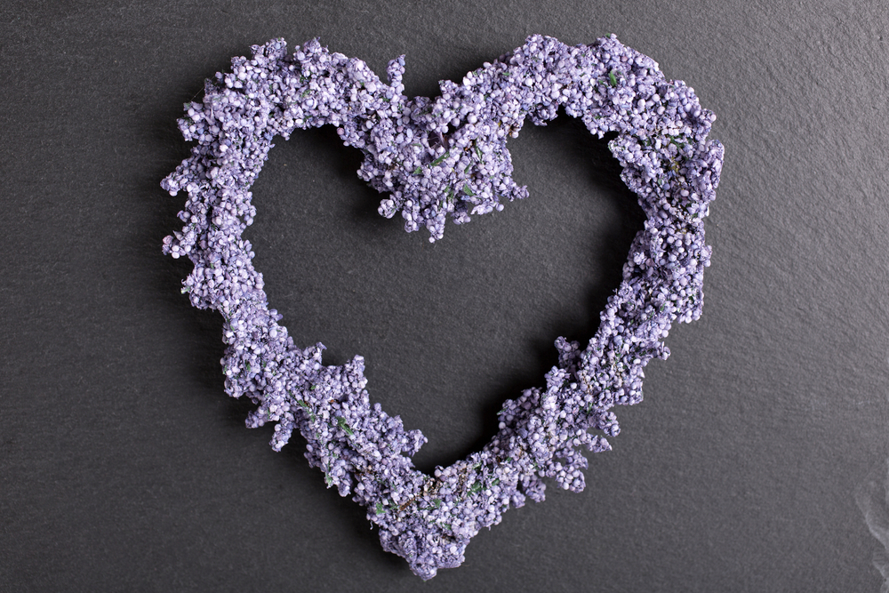 Fresh lavender in a heart shape design-1